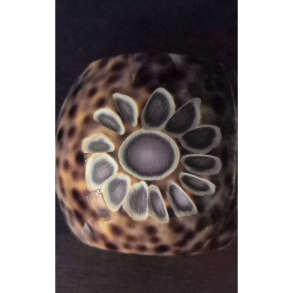 Set Of (12) 1iger Leopard Cowrie Shell Starburst Hand Carved Napkin Rings - Picture 7 of 9